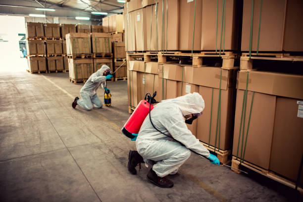 Best Mosquito Control Services  in Central Point, OR