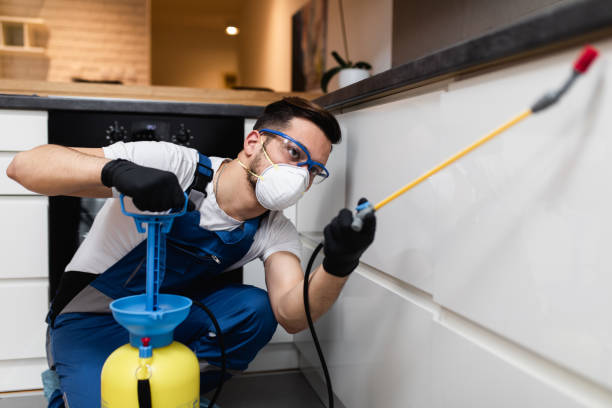 Best Exterminator Services  in Central Point, OR
