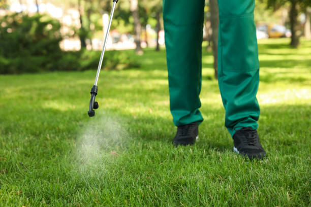 Best Mosquito Control Services  in Central Point, OR