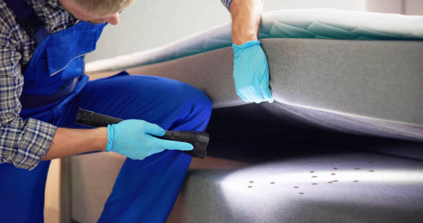 Best Pest Inspection Near Me  in Central Point, OR