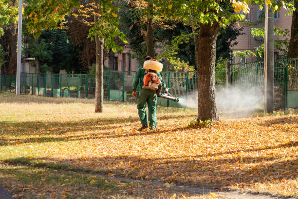 Best Residential Pest Control  in Central Point, OR
