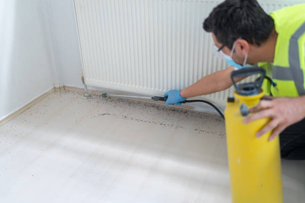 Best Termite Control Services  in Central Point, OR