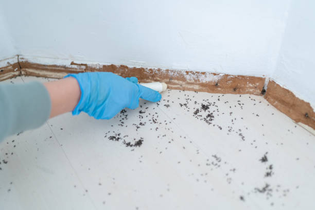 Best Pest Control for Restaurants  in Central Point, OR