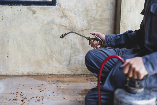 Best Affordable Pest Control Services  in Central Point, OR