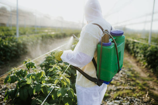 Pest Control for Restaurants in Central Point, OR